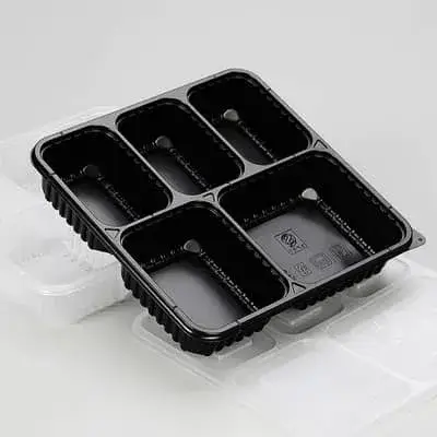 Multi-Compartment Lunch Boxes