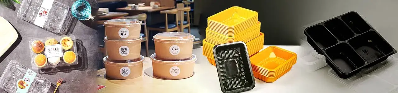 Plastic Thermoforming Machine (Single Station)