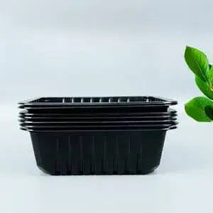 Plastic Thermoforming Machine (PP/PET/PS/PVC)