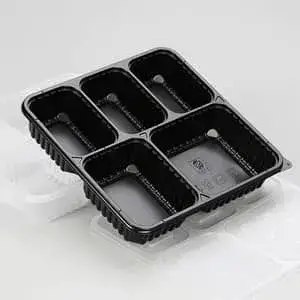 Plastic Thermoforming Machine (PP/PET/PS/PVC)