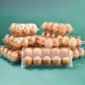 Plastic Thermoforming Machine (Multi-Station)